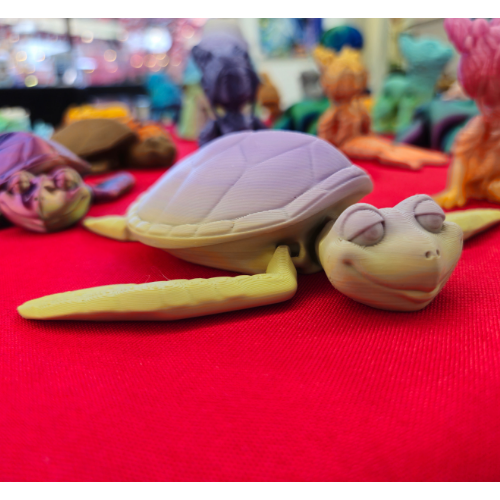 Sea Turtle