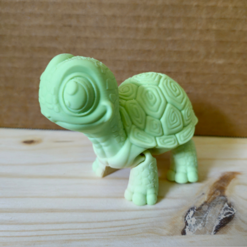 Turtle