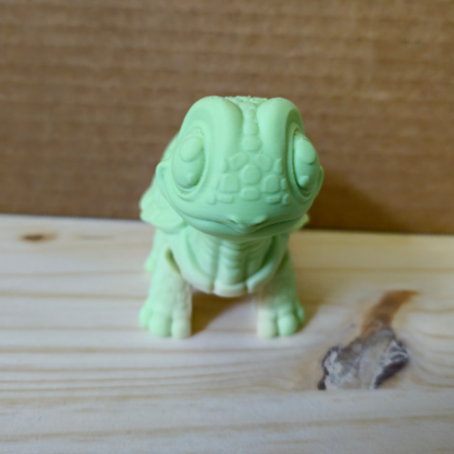 Turtle