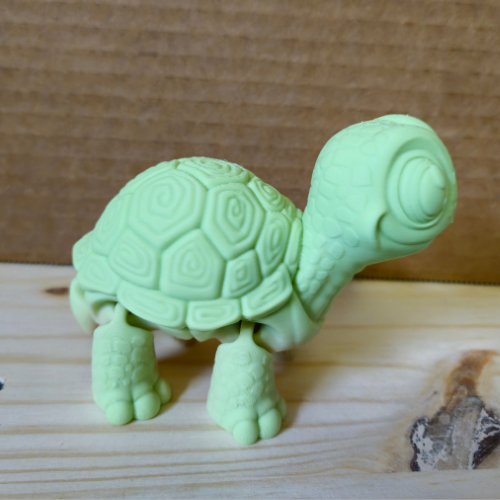 Turtle