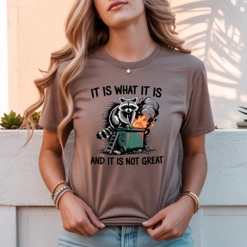 Dumpster Fire adult t-shirt